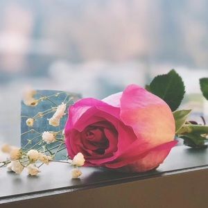 Meet your Posher, Han